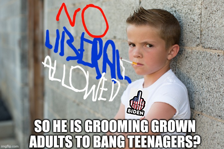 SO HE IS GROOMING GROWN ADULTS TO BANG TEENAGERS? | made w/ Imgflip meme maker