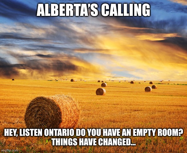 Alberta prairie | ALBERTA’S CALLING; HEY, LISTEN ONTARIO DO YOU HAVE AN EMPTY ROOM?
THINGS HAVE CHANGED… | image tagged in alberta prairie | made w/ Imgflip meme maker