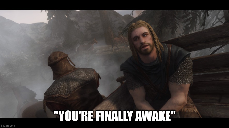 revive now | "YOU'RE FINALLY AWAKE" | image tagged in skyrim you're finally awake | made w/ Imgflip meme maker