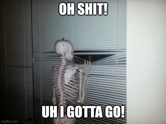 Skeleton Looking Out Window | OH SHIT! UH I GOTTA GO! | image tagged in skeleton looking out window | made w/ Imgflip meme maker