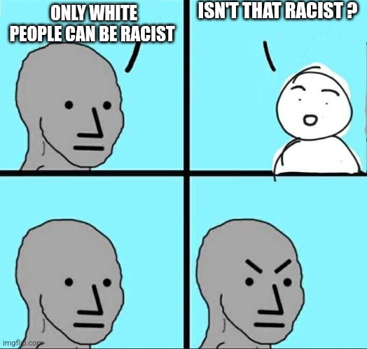 Like seryosly cmon | ISN'T THAT RACIST ? ONLY WHITE PEOPLE CAN BE RACIST | image tagged in npc meme | made w/ Imgflip meme maker