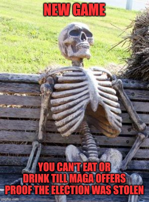 How inept are they? | NEW GAME; YOU CAN'T EAT OR DRINK TILL MAGA OFFERS PROOF THE ELECTION WAS STOLEN | image tagged in memes,waiting skeleton | made w/ Imgflip meme maker