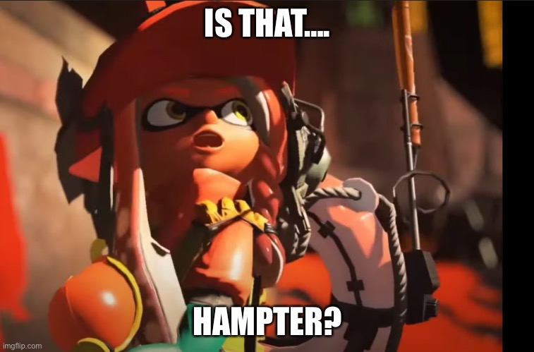 my Hampter died…. | IS THAT…. HAMPTER? | image tagged in splatoon 3 gasp | made w/ Imgflip meme maker