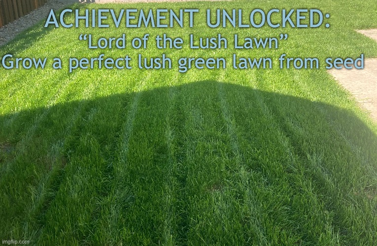 Planted 7-4-22 (summer planting is not easy) | ACHIEVEMENT UNLOCKED:; “Lord of the Lush Lawn”
Grow a perfect lush green lawn from seed | made w/ Imgflip meme maker