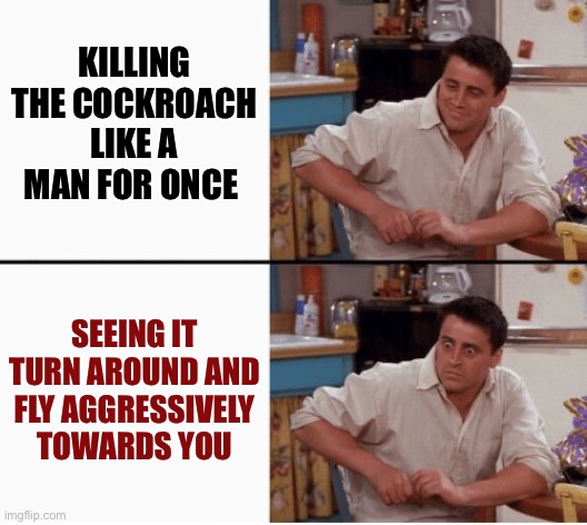 Ruh Roh | KILLING THE COCKROACH LIKE A MAN FOR ONCE; SEEING IT TURN AROUND AND FLY AGGRESSIVELY TOWARDS YOU | image tagged in joey shocked | made w/ Imgflip meme maker