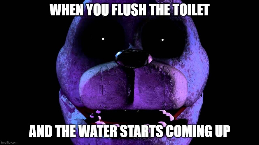 WHEN YOU FLUSH THE TOILET; AND THE WATER STARTS COMING UP | image tagged in fnaf | made w/ Imgflip meme maker