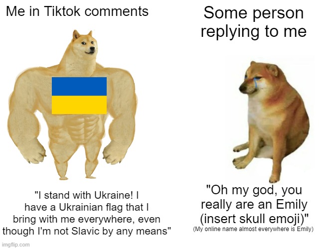Some very nice Ukrainian did reply saying it melts her heart :) | Me in Tiktok comments; Some person replying to me; "I stand with Ukraine! I have a Ukrainian flag that I bring with me everywhere, even though I'm not Slavic by any means"; "Oh my god, you really are an Emily (insert skull emoji)"; (My online name almost everywhere is Emily) | image tagged in memes,buff doge vs cheems | made w/ Imgflip meme maker
