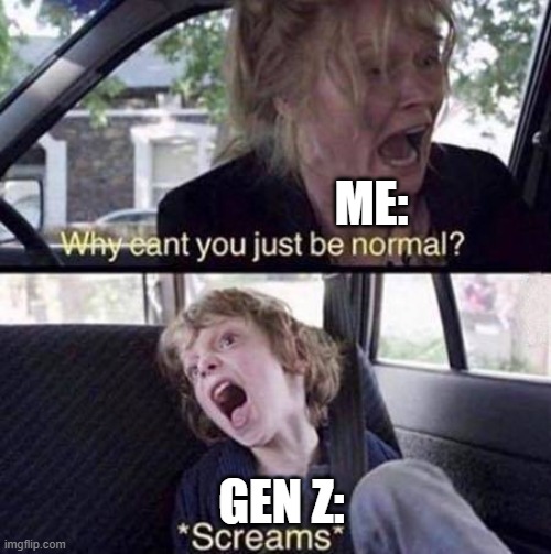 Why Can't You Just Be Normal | ME:; GEN Z: | image tagged in why can't you just be normal | made w/ Imgflip meme maker