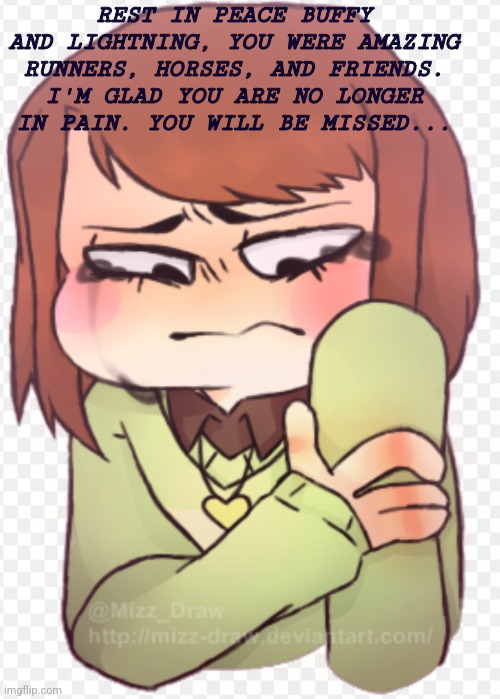 .... | REST IN PEACE BUFFY AND LIGHTNING, YOU WERE AMAZING RUNNERS, HORSES, AND FRIENDS. I'M GLAD YOU ARE NO LONGER IN PAIN. YOU WILL BE MISSED... | made w/ Imgflip meme maker