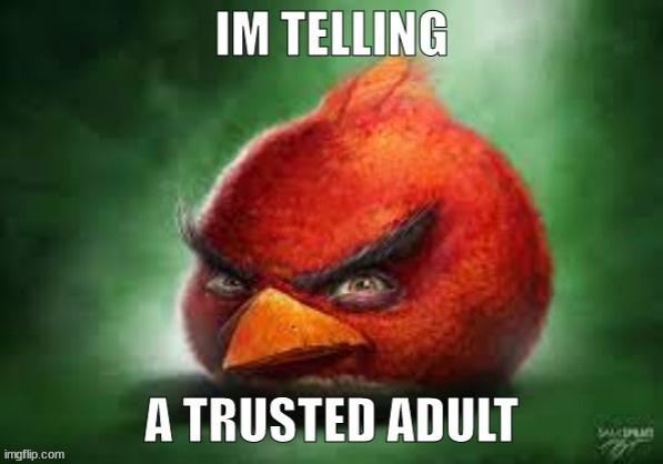 im telling a trusted adult | image tagged in im telling a trusted adult | made w/ Imgflip meme maker