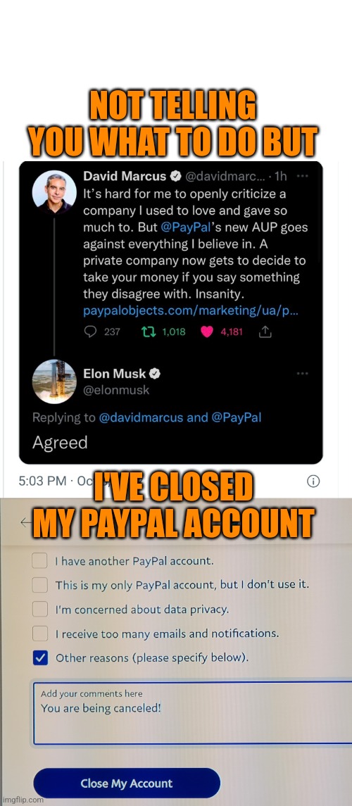 No Pal of mine | NOT TELLING YOU WHAT TO DO BUT; I'VE CLOSED MY PAYPAL ACCOUNT | image tagged in woke,misinformation,censorship,paypal | made w/ Imgflip meme maker
