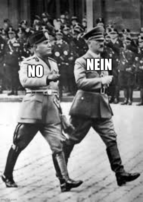 Hitler and Mussolini | NEIN NO | image tagged in hitler and mussolini | made w/ Imgflip meme maker