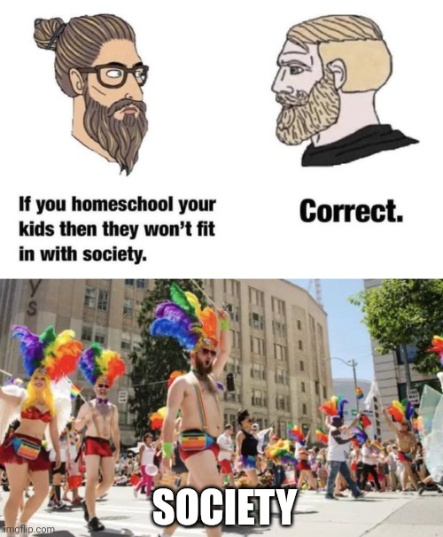 Correct. | SOCIETY | image tagged in memes | made w/ Imgflip meme maker