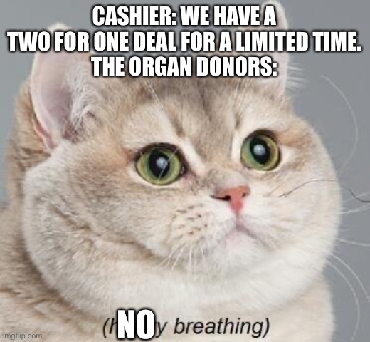 Heavy Breathing Cat | CASHIER: WE HAVE A TWO FOR ONE DEAL FOR A LIMITED TIME.
THE ORGAN DONORS:; NO | image tagged in memes,heavy breathing cat | made w/ Imgflip meme maker