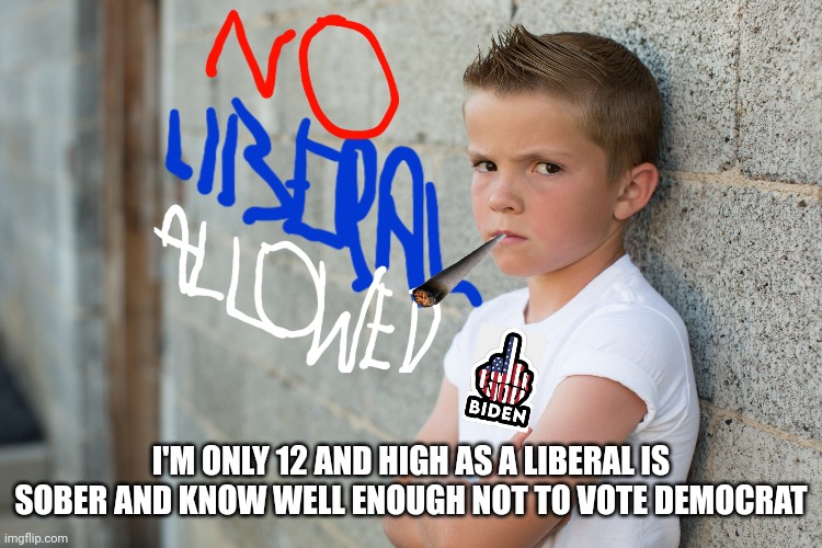 I'M ONLY 12 AND HIGH AS A LIBERAL IS SOBER AND KNOW WELL ENOUGH NOT TO VOTE DEMOCRAT | made w/ Imgflip meme maker
