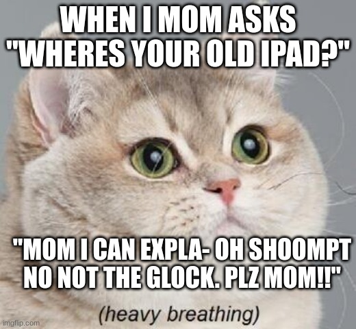 Heavy Breathing Cat | WHEN I MOM ASKS "WHERES YOUR OLD IPAD?"; "MOM I CAN EXPLA- OH SHOOMPT NO NOT THE GLOCK. PLZ MOM!!" | image tagged in memes,heavy breathing cat | made w/ Imgflip meme maker