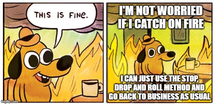 Fire...Just Roll With It | I'M NOT WORRIED IF I CATCH ON FIRE; I CAN JUST USE THE STOP, DROP AND ROLL METHOD AND GO BACK TO BUSINESS AS USUAL | image tagged in this is fine,memes,humor,don't do it,stop drop and roll,funny | made w/ Imgflip meme maker