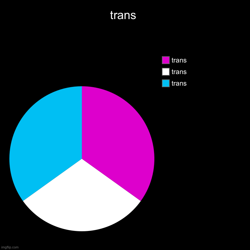 T R A N S ??? | trans | trans, trans, trans | image tagged in charts,pie charts | made w/ Imgflip chart maker