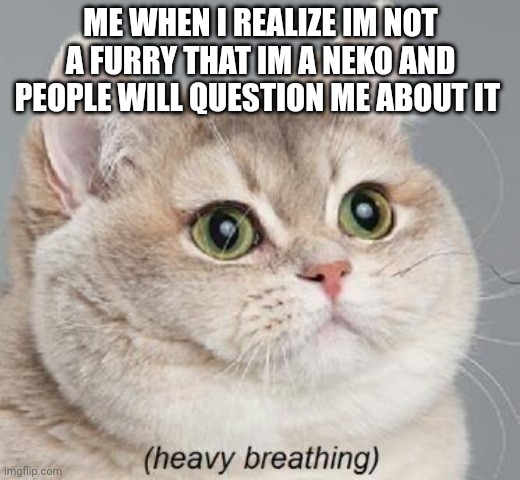 Heavy Breathing Cat | ME WHEN I REALIZE IM NOT A FURRY THAT IM A NEKO AND PEOPLE WILL QUESTION ME ABOUT IT | image tagged in memes,heavy breathing cat | made w/ Imgflip meme maker