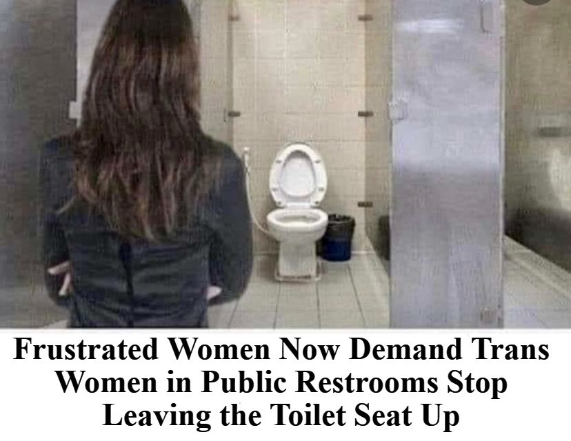 Women & Toilet Seats | image tagged in toilet seat up,toilet humor,toilet seat,toilets,no more toilet paper,complainers | made w/ Imgflip meme maker