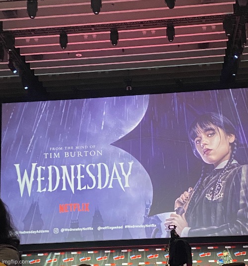 At New York Comic Con rn. So excited for the panel | image tagged in wednesday,wednesday addams,netflix | made w/ Imgflip meme maker