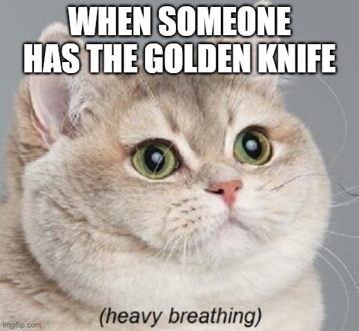 Heavy Breathing Cat | WHEN SOMEONE HAS THE GOLDEN KNIFE | image tagged in roblox meme | made w/ Imgflip meme maker