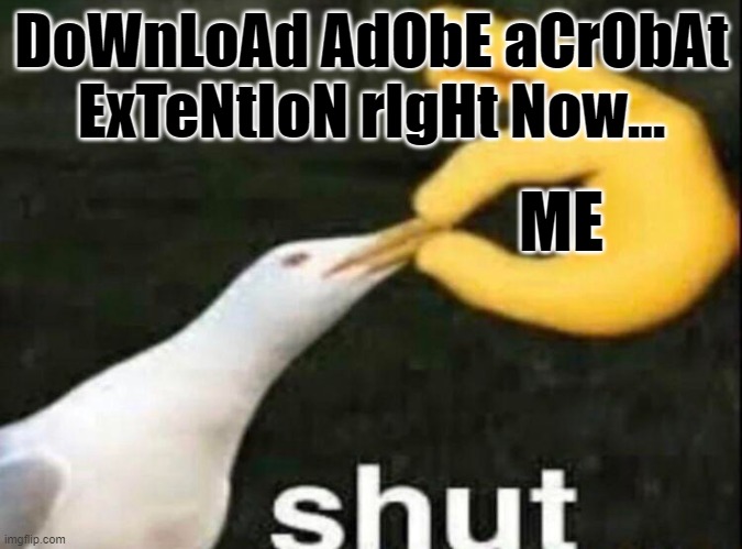 I hate those ads | DoWnLoAd AdObE aCrObAt ExTeNtIoN rIgHt Now... ME | image tagged in shut,computer | made w/ Imgflip meme maker