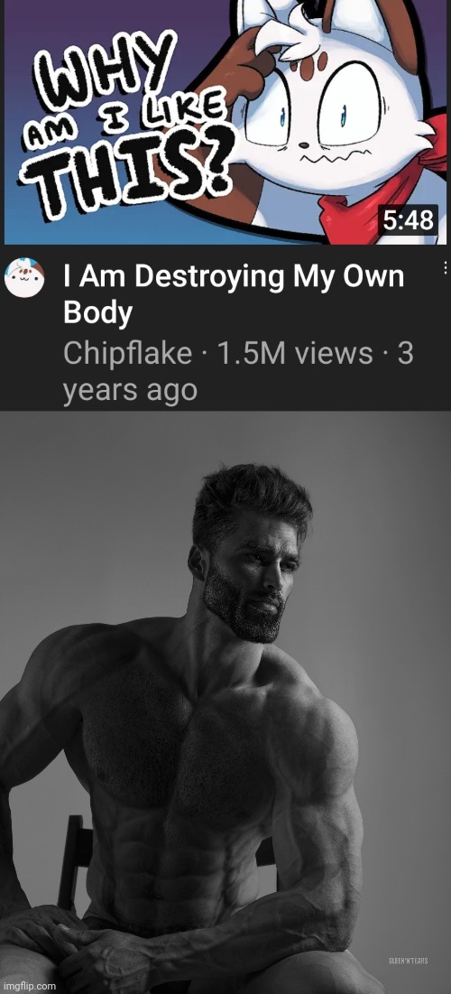 image tagged in giga chad | made w/ Imgflip meme maker