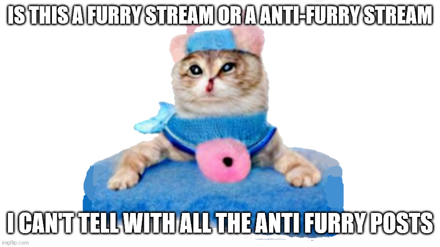kitty on drugs | IS THIS A FURRY STREAM OR A ANTI-FURRY STREAM; I CAN'T TELL WITH ALL THE ANTI FURRY POSTS | image tagged in kitty on drugs | made w/ Imgflip meme maker