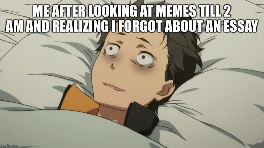 re:zero subaru | ME AFTER LOOKING AT MEMES TILL 2 AM AND REALIZING I FORGOT ABOUT AN ESSAY | image tagged in re zero subaru | made w/ Imgflip meme maker