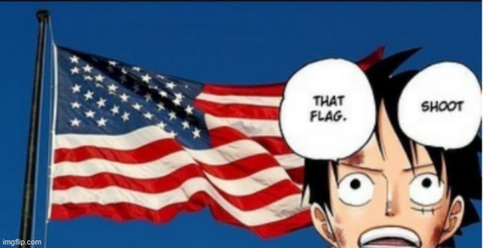 That was the right thing to do, Luffy. | image tagged in america,united states,make america great again,american flag | made w/ Imgflip meme maker