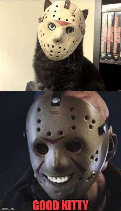 JASON'S CAT | GOOD KITTY | image tagged in cats,funny cats,friday the 13th,jason voorhees,spooktober | made w/ Imgflip meme maker