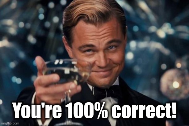 Leonardo Dicaprio Cheers Meme | You're 100% correct! | image tagged in memes,leonardo dicaprio cheers | made w/ Imgflip meme maker