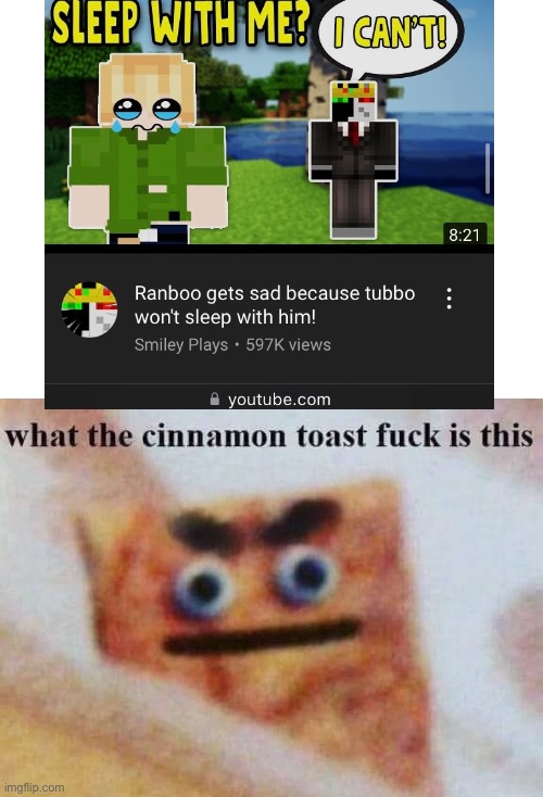 Wth | image tagged in what the cinnamon toast f is this,dream,what | made w/ Imgflip meme maker
