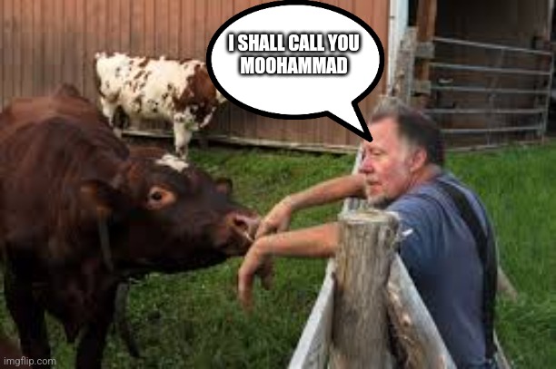 I SHALL CALL YOU 
MOOHAMMAD | image tagged in cows | made w/ Imgflip meme maker