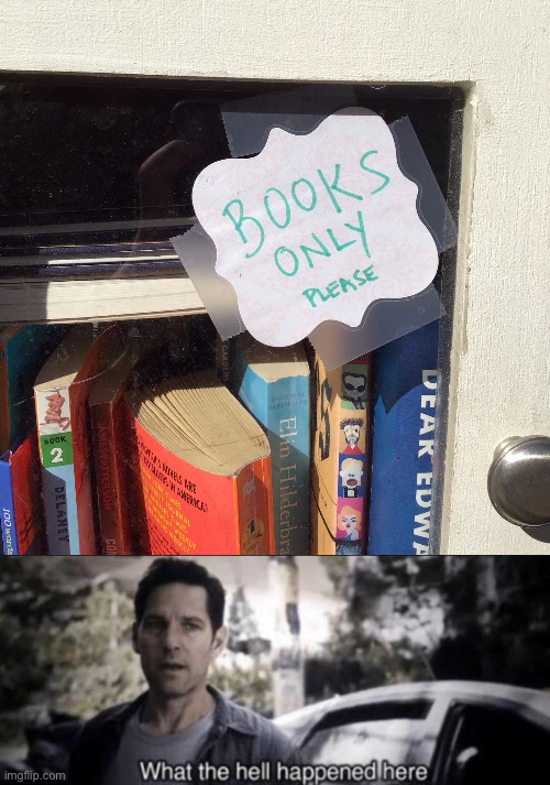 little free library | image tagged in what the hell happened here | made w/ Imgflip meme maker