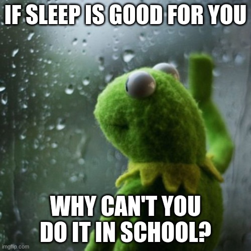 sometimes I wonder  | IF SLEEP IS GOOD FOR YOU; WHY CAN'T YOU DO IT IN SCHOOL? | image tagged in sometimes i wonder | made w/ Imgflip meme maker