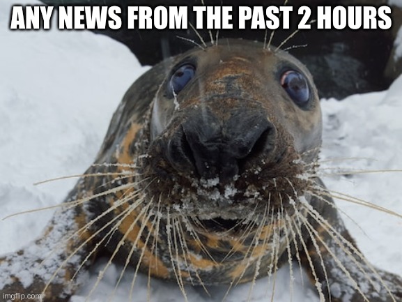 his name's bim bim | ANY NEWS FROM THE PAST 2 HOURS | image tagged in his name's bim bim | made w/ Imgflip meme maker