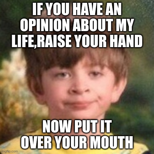 Annoyed face | IF YOU HAVE AN OPINION ABOUT MY LIFE,RAISE YOUR HAND; NOW PUT IT OVER YOUR MOUTH | image tagged in annoyed face | made w/ Imgflip meme maker