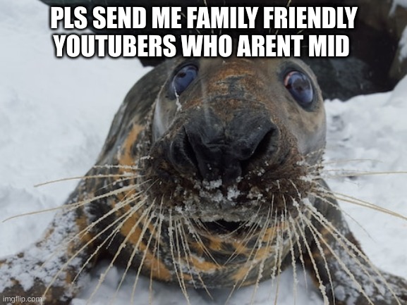 his name's bim bim | PLS SEND ME FAMILY FRIENDLY YOUTUBERS WHO ARENT MID | image tagged in his name's bim bim | made w/ Imgflip meme maker