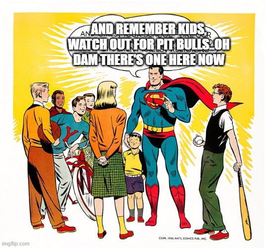 pitbulls | AND REMEMBER KIDS, WATCH OUT FOR PIT BULLS..OH DAM THERE'S ONE HERE NOW | image tagged in memes | made w/ Imgflip meme maker