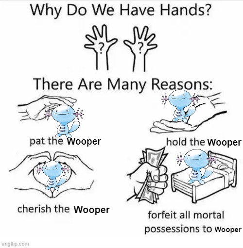 Why We Have Hands Wooper Edition | Wooper; Wooper; Wooper; Wooper | image tagged in why do we have hands all blank | made w/ Imgflip meme maker