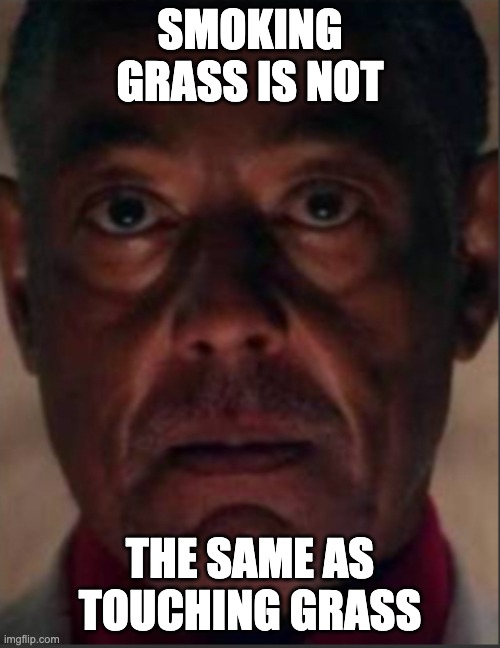 Gus fring | SMOKING GRASS IS NOT; THE SAME AS TOUCHING GRASS | image tagged in gus fring | made w/ Imgflip meme maker