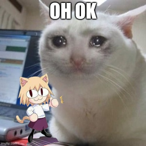 Crying cat | OH OK | image tagged in crying cat | made w/ Imgflip meme maker