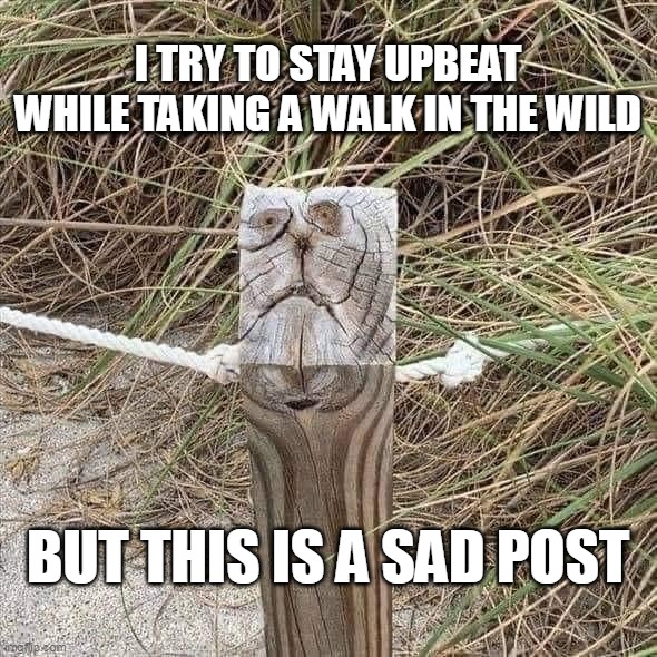 Now That's Petrified Wood! | I TRY TO STAY UPBEAT WHILE TAKING A WALK IN THE WILD; BUT THIS IS A SAD POST | image tagged in meme,memes,humor,puns,funny | made w/ Imgflip meme maker