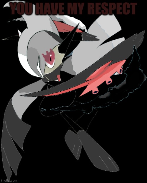 Shadow the Dark Galade | YOU HAVE MY RESPECT | image tagged in shadow the dark galade | made w/ Imgflip meme maker