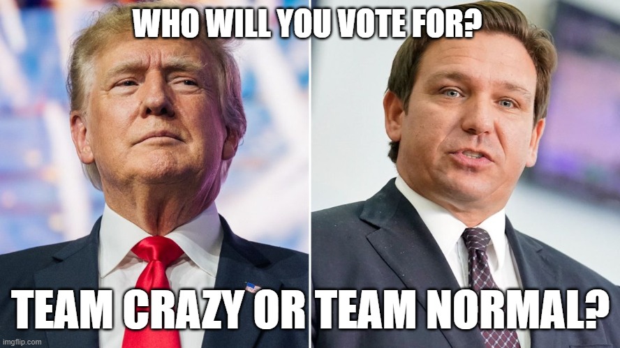 Trump vs. DeSantis, Team Crazy vs. Team Normal Election 2024 | WHO WILL YOU VOTE FOR? TEAM CRAZY OR TEAM NORMAL? | image tagged in team crazy vs team normal,election,republican,desantis,trump,2024 | made w/ Imgflip meme maker
