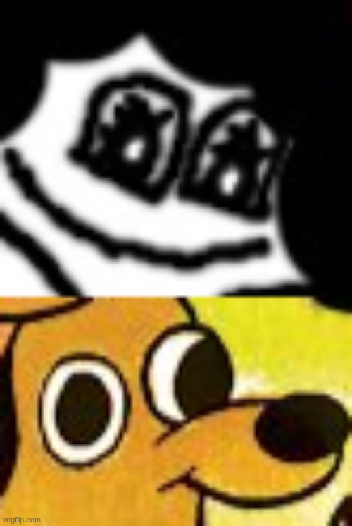 image tagged in memes,this is fine | made w/ Imgflip meme maker