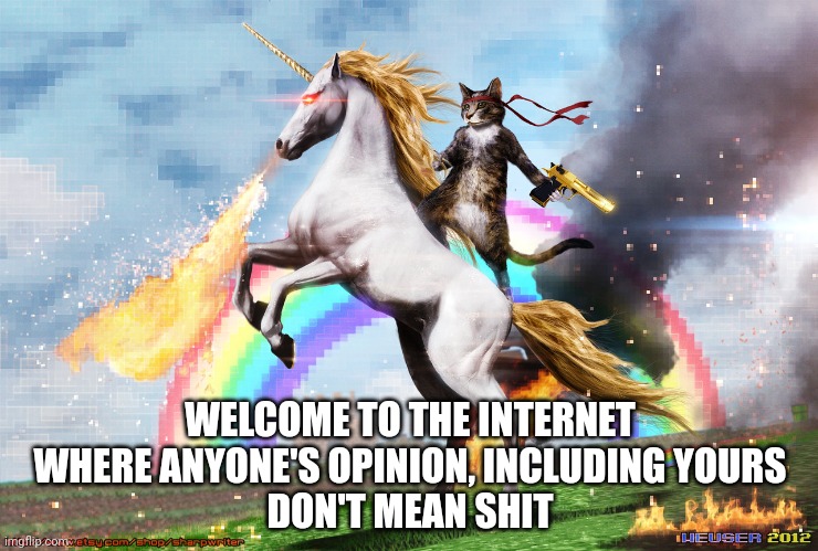 Welcome to the internet | WELCOME TO THE INTERNET
WHERE ANYONE'S OPINION, INCLUDING YOURS
DON'T MEAN SHIT | image tagged in welcome to the internet | made w/ Imgflip meme maker