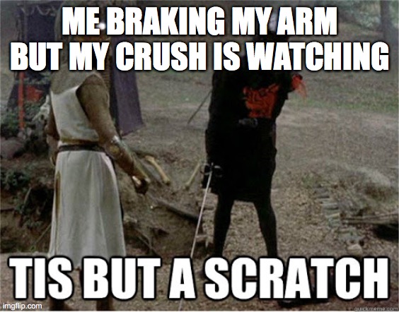 u gotta do what u gotta do | ME BRAKING MY ARM BUT MY CRUSH IS WATCHING | image tagged in tis but a scratch | made w/ Imgflip meme maker